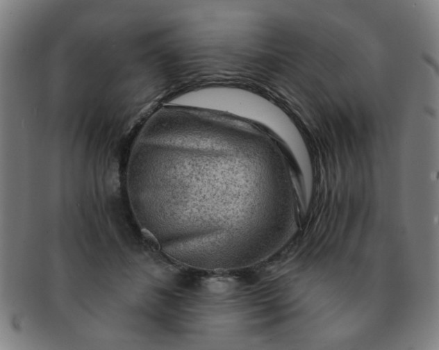 X0000091360508200708241313
