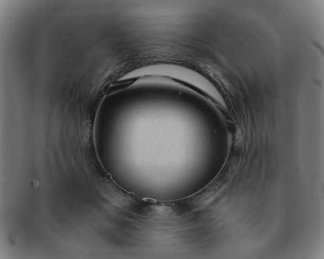 X0000091360509200708241313