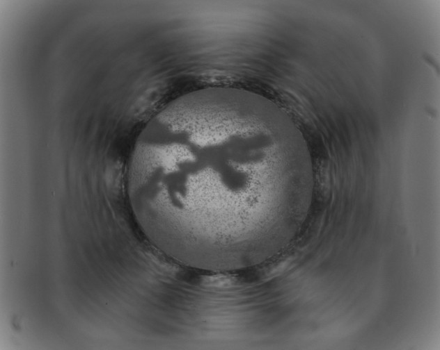 X0000091360511200708241313