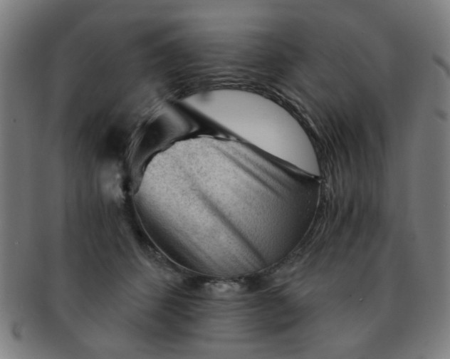 X0000091360512200708241313