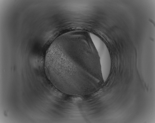 X0000091360513200708241313