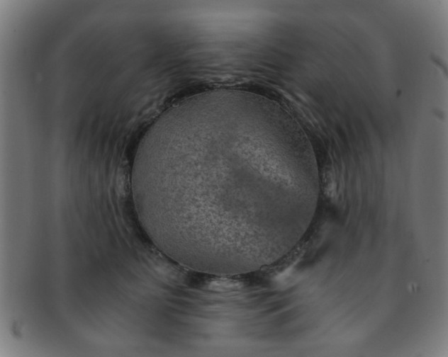 X0000091360515200708241313