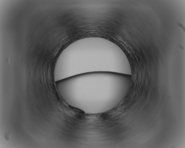 X0000091360516200708241313