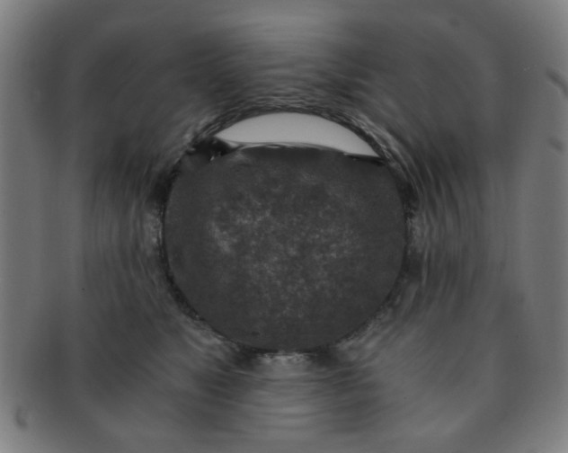 X0000091360517200708241313