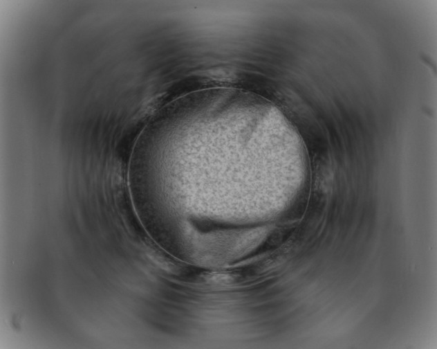 X0000091360518200708241313