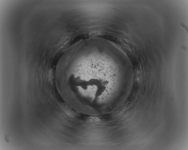 X0000091360519200708241313