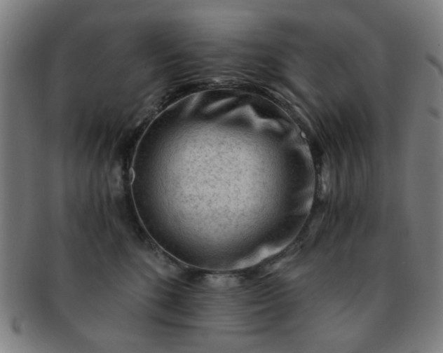 X0000091360520200708241313