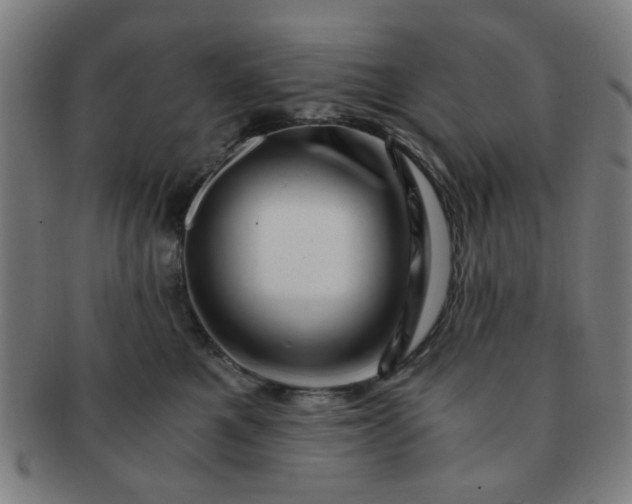 X0000091360521200708241313