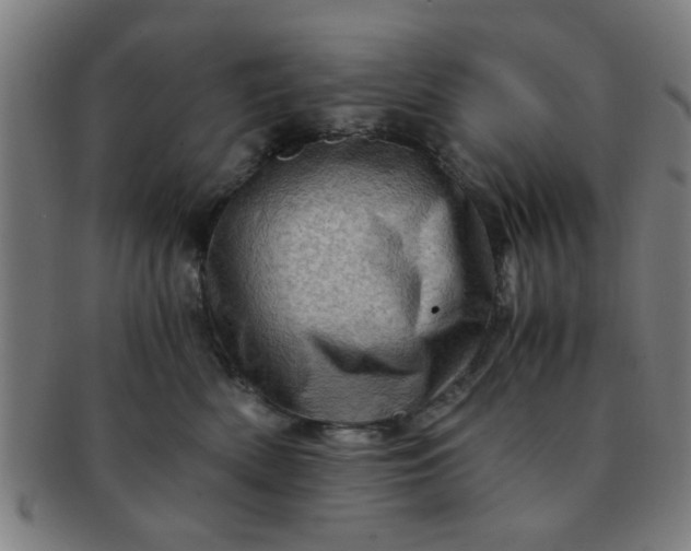 X0000091360522200708241313