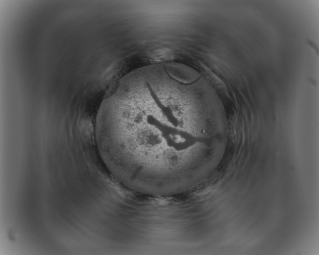 X0000091360523200708241313