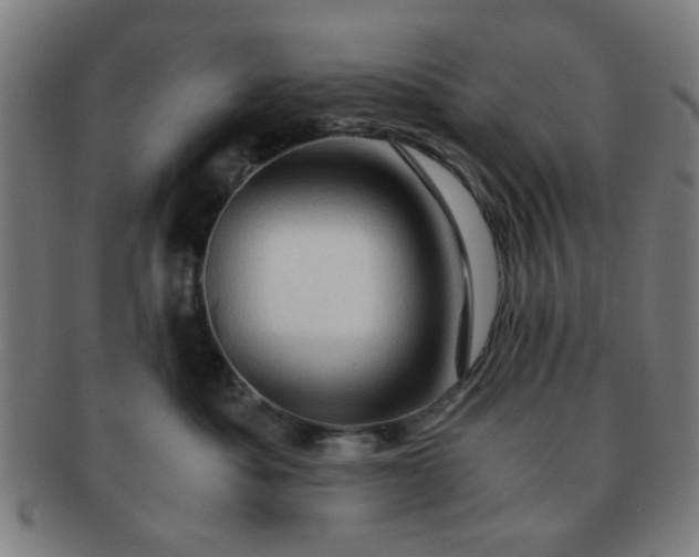X0000091360525200708241313