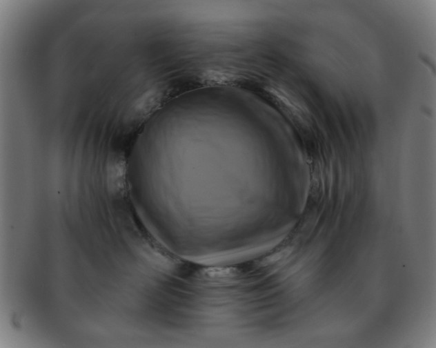 X0000091360526200708241313