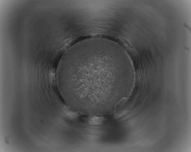 X0000091360527200708241313