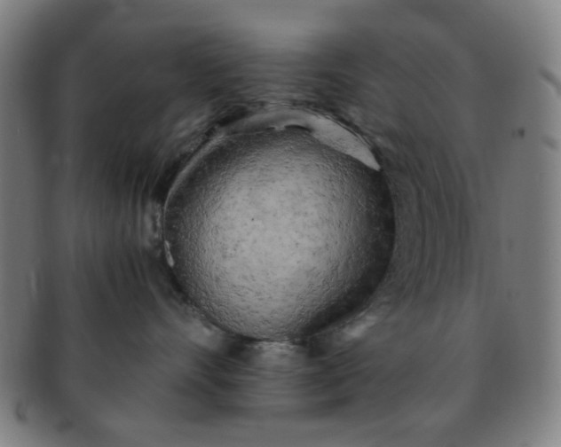 X0000091360528200708241313