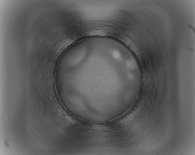 X0000091360529200708241312