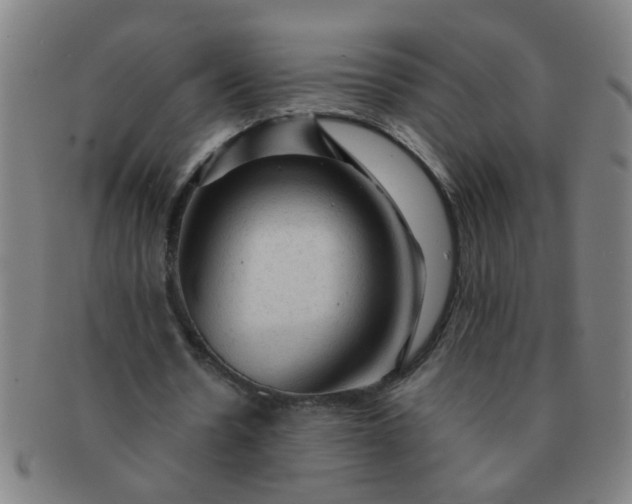 X0000091360530200708241312