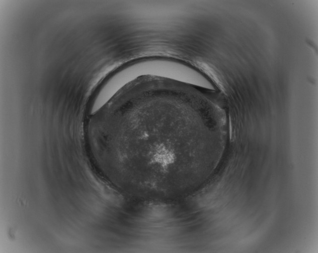 X0000091360531200708241312