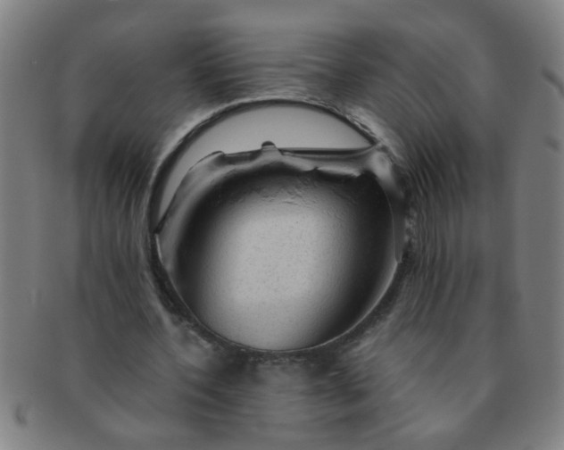 X0000091360532200708241312