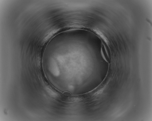 X0000091360533200708241312