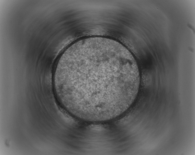 X0000091360534200708241312
