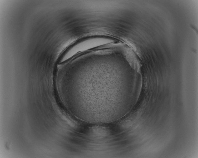 X0000091360535200708241312