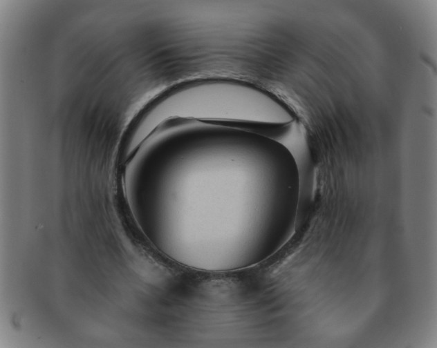 X0000091360536200708241312