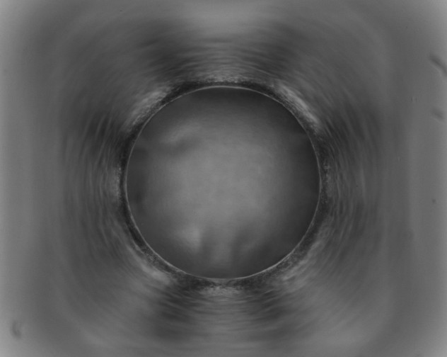 X0000091360537200708241312