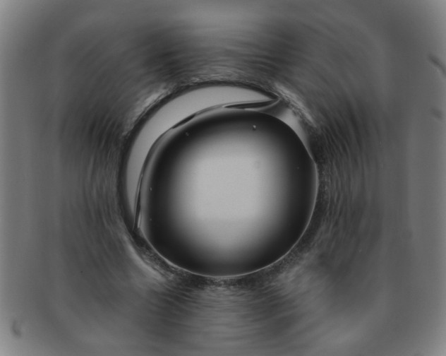 X0000091360538200708241312