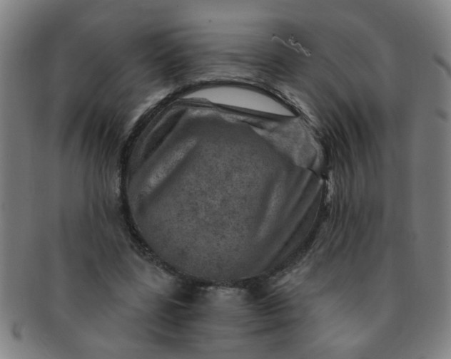 X0000091360539200708241312