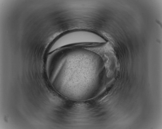 X0000091360540200708241313