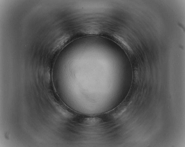 X0000091360541200708241313