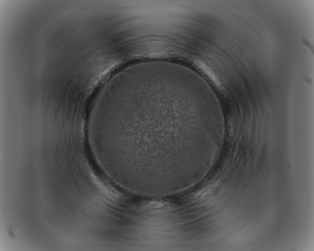 X0000091360542200708241313