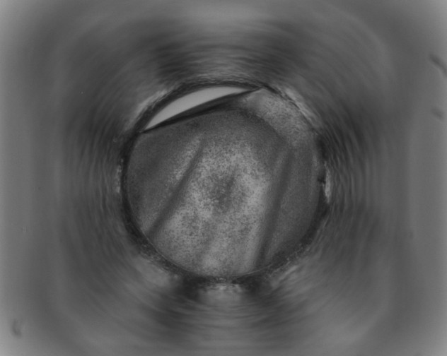 X0000091360543200708241313