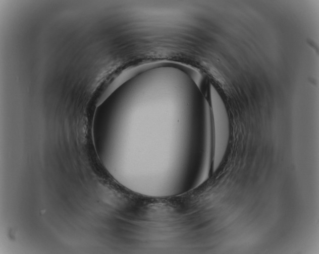 X0000091360544200708241313