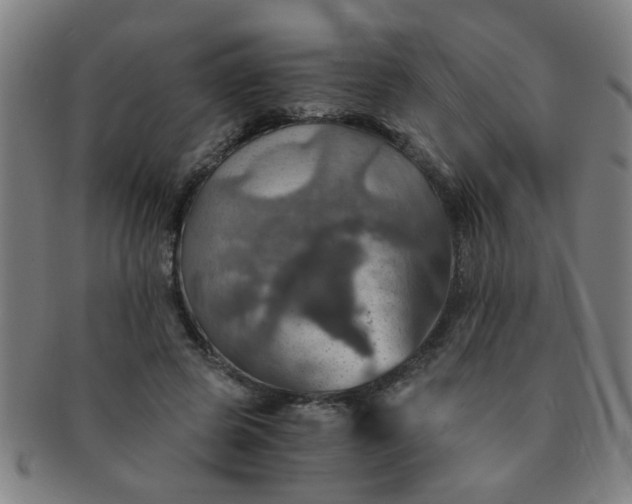 X0000091360545200708241313