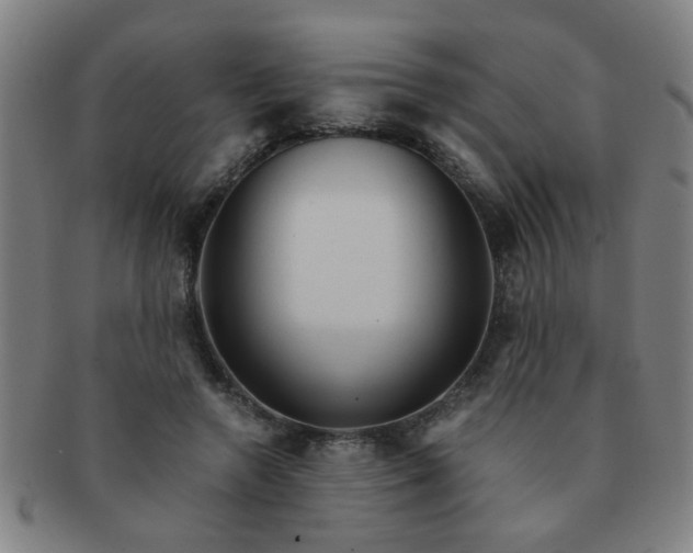 X0000091360546200708241313