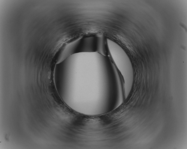 X0000091360548200708241313
