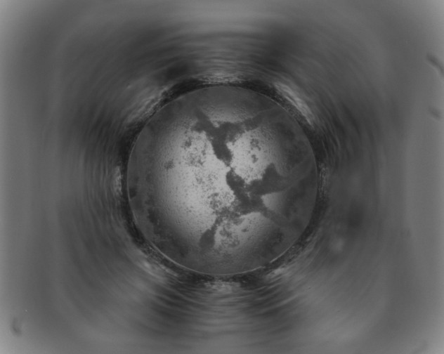 X0000091360549200708241313