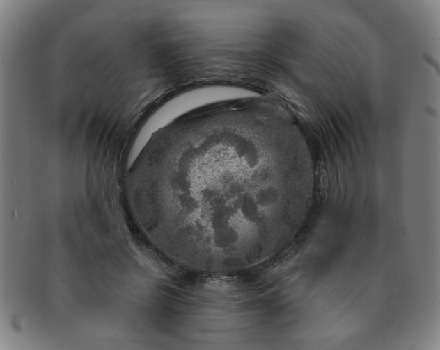 X0000091360550200708241313
