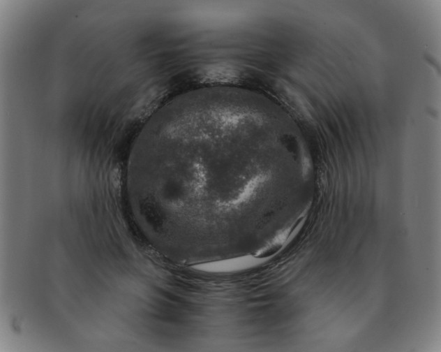 X0000091360551200708241313
