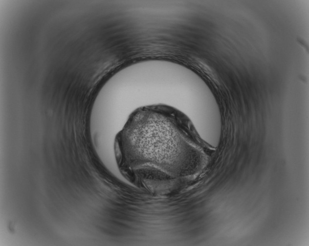 X0000091360552200708241313
