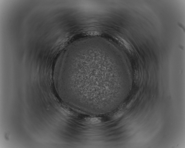 X0000091360553200708241313