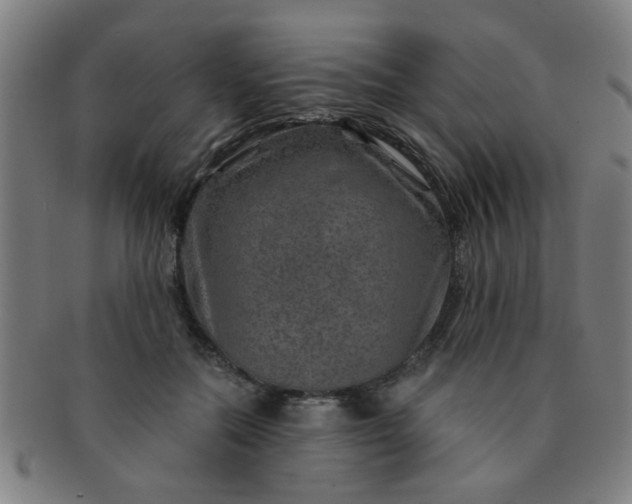 X0000091360554200708241313