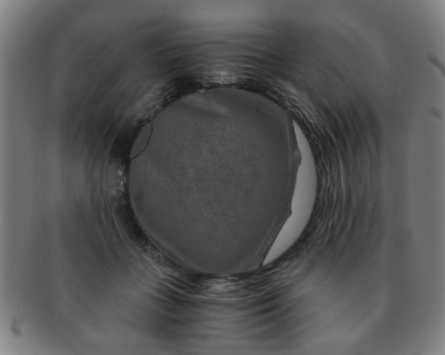 X0000091360555200708241313