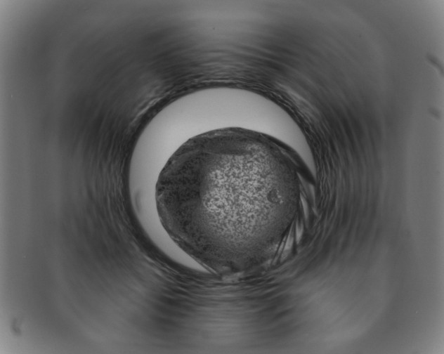 X0000091360556200708241313