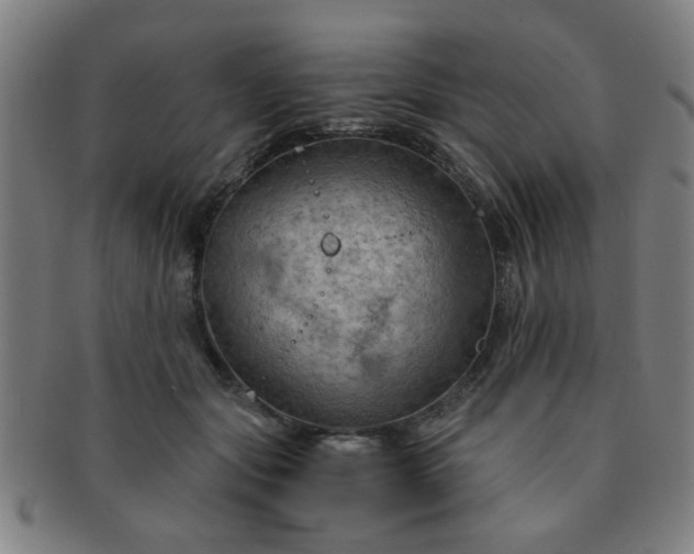 X0000091360557200708241313