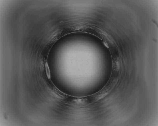 X0000091360558200708241313