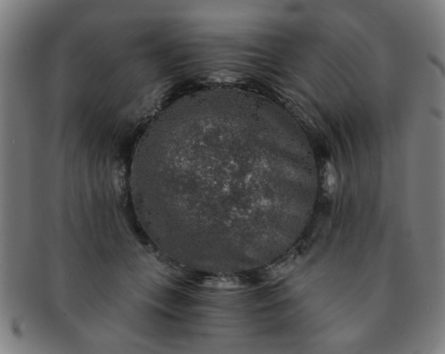 X0000091360559200708241313