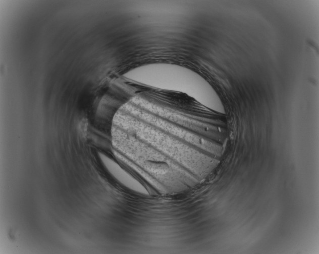 X0000091360560200708241313