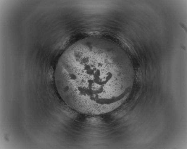 X0000091360561200708241313
